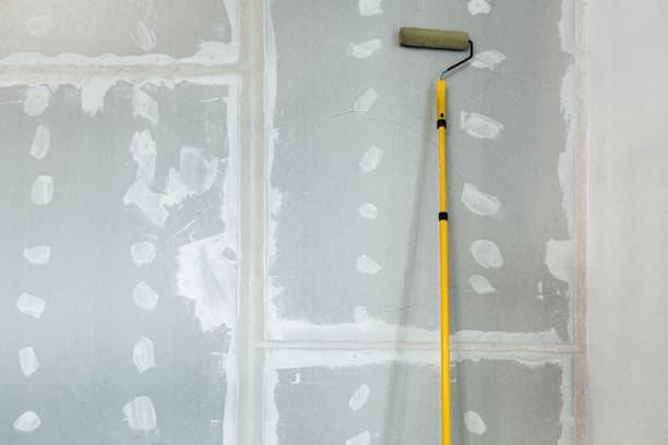 Professional Mold Removal in Wimberley, TX