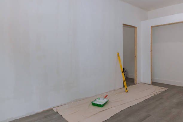 Mold Odor Removal Services in Wimberley, TX