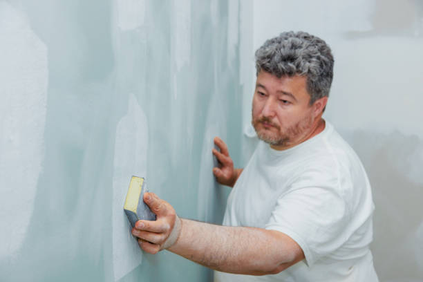 Best Residential Mold Inspection & Testing  in Wimberley, TX